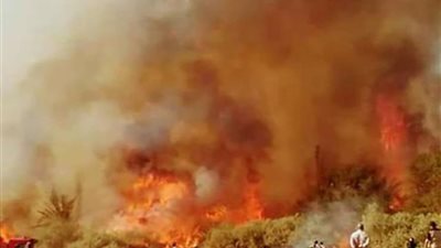 ننشر الحصيلة الأولية من الخسائر الناجمة عن حريق الراشدة بالوادي الجديد