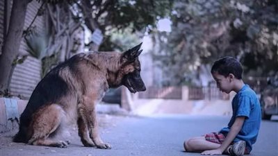 صور| صاحب كلب يصونك ولا تصاحب صاحب يخونك .. مشروع تخرج في 5 صور لن تتوقعه !