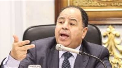 المالية : حصار الشركات الوهمية بتوحيد الرقم الضريبي