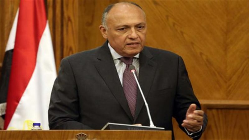 وزراء الخارجية العرب