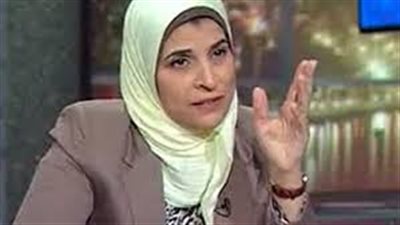 نشوي الحوفي: مبادرة 