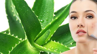 متخليش حب الشباب يهزمك.. 3 طرق سحرية لجل الصبار