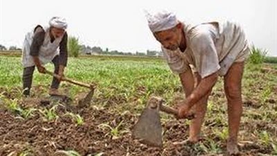 فيديو| 