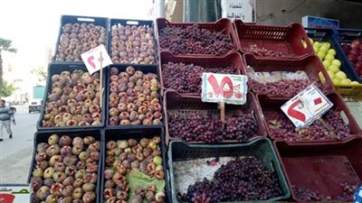 غداً.. إنطلاق مبادرة 
