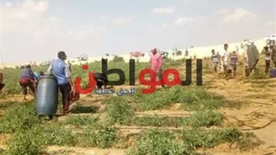 بعد كسر خطوط البترول بسمسطا.. محافظ بني سويف يطمئن على عودة الضخ بها