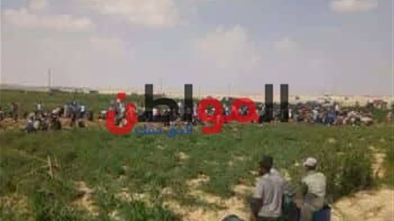 تسرب بترولي