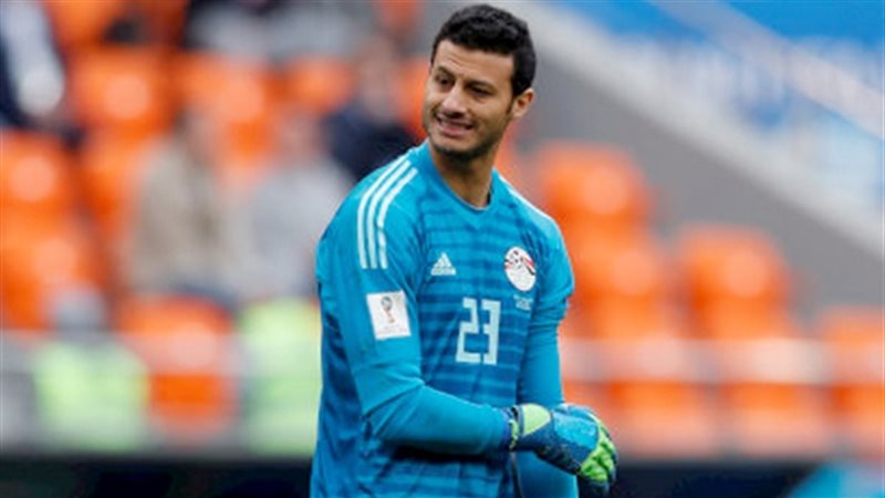 محمد الشناوي 
