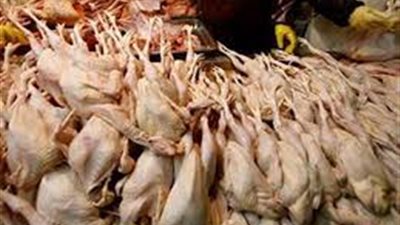  ضبط 17 طن دواجن ولحوم منتهية الصلاحية بالعبور