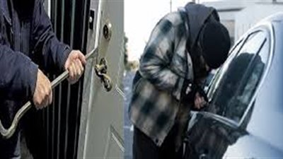 زوجان يشكلان تشكيلا عصابيا لسرقة السيارات بالقاهرة