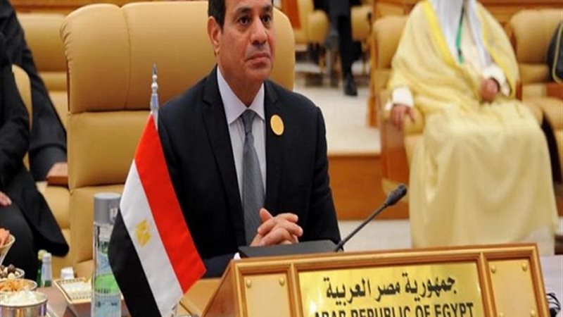 الرئيس السيسى واقتصاد