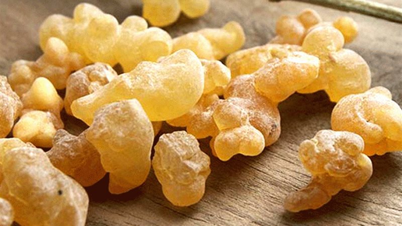 7 فوائد للبان الدكر