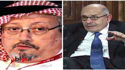 جا يكحلها قام فقع عينها .. البرادعي ينعي جمال خاشقجي