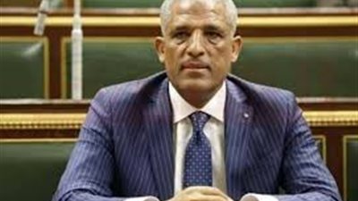 نائب برلماني يقدم طلبا لمحافظ الجيزة لتخصيص أرض لمركز شباب الشوربجى