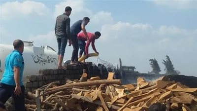 صور.. البيئة تضبط 21 مكمورة فحم مخالفة في الدقهلية