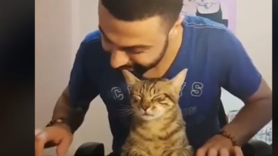 قطه ذوقها عالى.. شاهد ماذا فعلت وأبهرت المشاهدين 