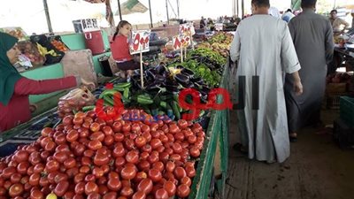 صور| البطاطس بـ10 جنيه.. تعرف على أسعار الخضار والفاكهة في الوادي الجديد