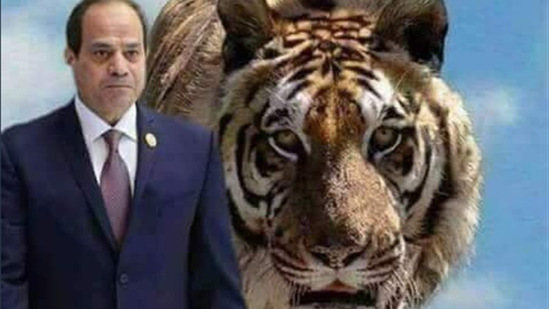مصر بخير مع السيسي