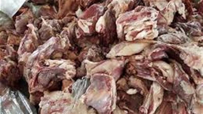 حملات الطب البيطري