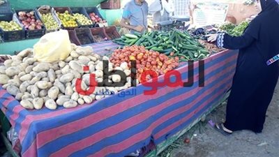 أسعار الخضار والفاكهة بأسواق كفر الشيخ اليوم السبت 20 أكتوبر 2018