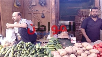 أسعار الطماطم في سوهاج تثير غضب المواطنين 