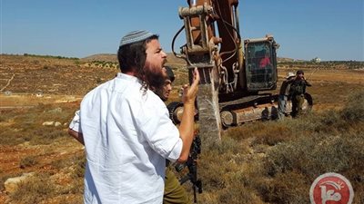 استفزازات إسرائيلية.. مستوطنون يعتدون على قاطفي الزيتون الفلسطينيون