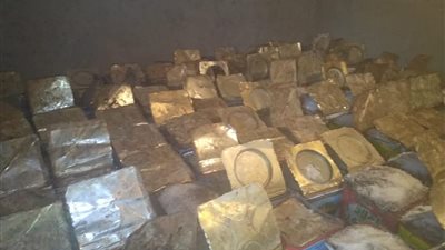 ضبط مصنع أسماك فاسدة بقليوب