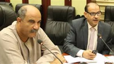 برلماني يطالب بتشديد الرقابة على ارتفاع أسعار البطاطس 
