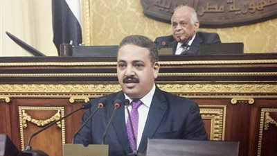 النائب منتصر رياض: هذا ما يجب توافره من أجل مواجهة الإرهاب 