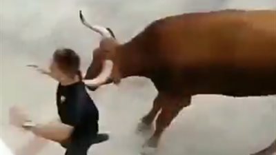 فيديو.. شاب ينجو من الموت بأعجوبة عقب نجاته من ثور هائج 