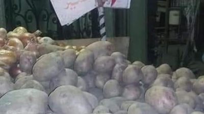نشطاء ببني سويف يدشنون مبادرة لمواجهة غلاء أسعار البطاطس والطماطم