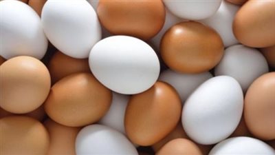 أسعار البيض اليوم الأربعاء 24 أكتوبر 2018