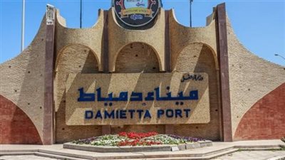تفاصيل حركة قطارات البضائع العامة بميناء دمياط في 24 ساعة