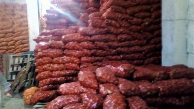 الرقابة الإدارية تشكل عدة حملات بالمحافظات لضبط الكميات المخزنة من البطاطس لدى التجار 