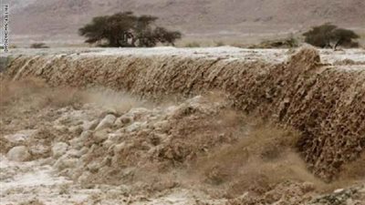 الصحة الأردنية: ارتفاع عدد ضحايا سيول البحر الميت إلى 23 شهيدًا