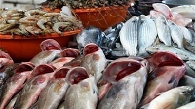 أسعار الأسماك فى الأسواق السبت 27 أكتوبر 2018