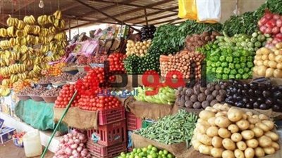 الكيوي بـ16 جنيهًا.. تعرف على أسعار الفاكهة بالفيوم اليوم