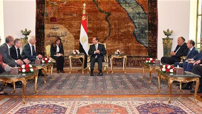 صور.. استقبال الرئيس السيسي لوفدًا من برلمان ألمانيا الاتحادية
