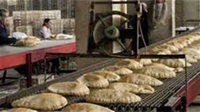 حملات تموينية لضبط الأسعار تجوب محافظة الدقهلية