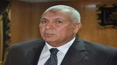 مكافآت مالية وشهادات تقدير لأفضل 10 مدارس بالوادي الجديد
