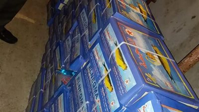 ضبط 1057 كيلو من أسماك فاسدة ببني سويف