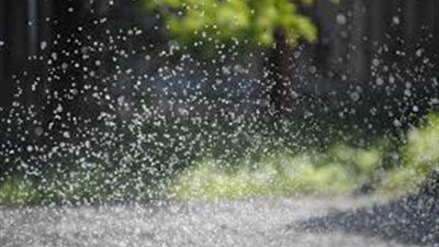 ده غضب من ربنا.. السماء تمطر عناكب