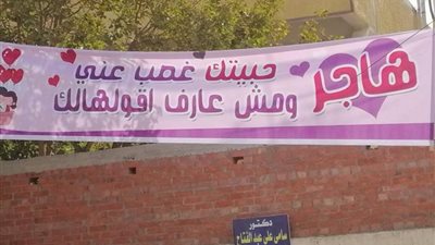 الحب ولع في الدرة.. شاب يعترف لـ فتاة بحبه عبر لافتة في المنوفية
