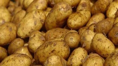 قبل ما تروحي السوق.. اعرفي أسعار الخضار واللحوم والأسماك والبيض