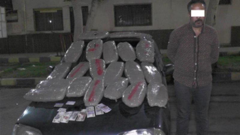 المواطن