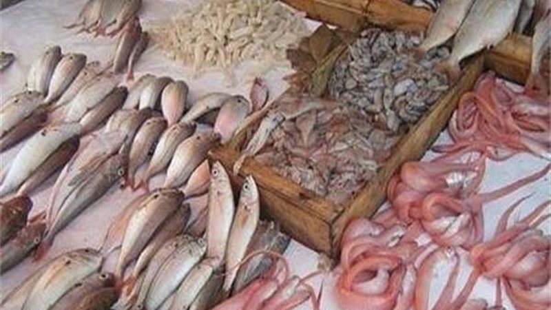 أسعار الأسماك