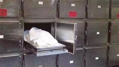 مصرع عامل زراعي بمنطقة شرق العوينات في الوادي الجديد 