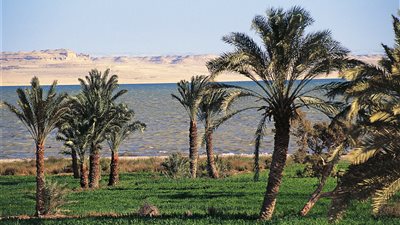 تعرف على درجات الحرارة بالفيوم اليوم 