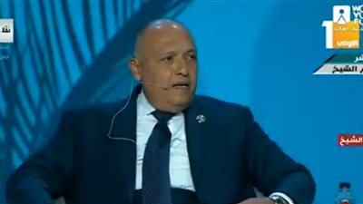 وزير الخارجية في منتدى شباب العالم 2018: مشاكل المنطقة تحتاج إلى بتر 