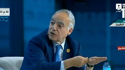  سياسي لبناني في منتدى شباب العالم 2018:الأطراف الخارجية تتدخل في النزاعات الداخلية بدول الفقيرة 