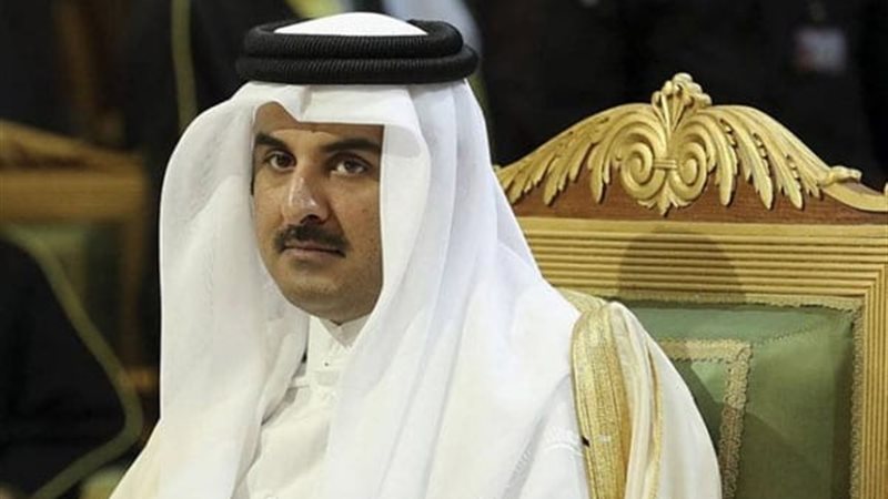 المواطن